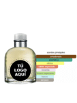 FRAGANCIA INSPIRADA EN LIGHT BLUE MEN