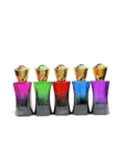 ENVASE REINA 50 ML